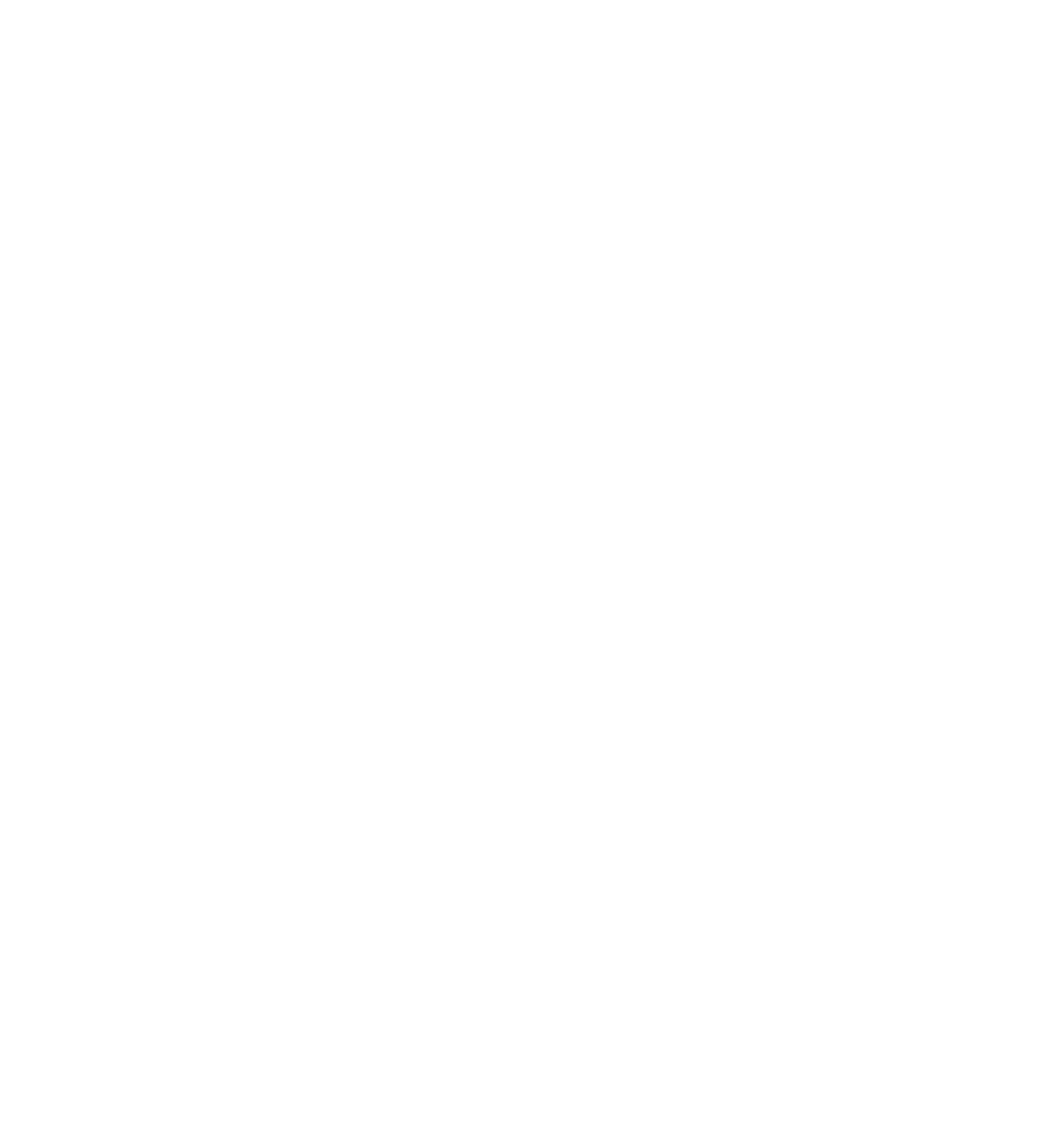 logo light